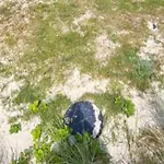 5 Star Holiday Home In Fjerritslev Дом отдыха Fjerritslev